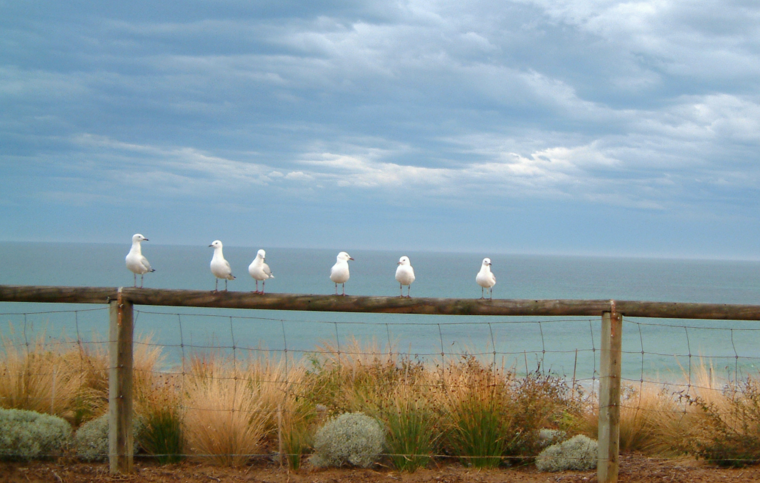 Englisch Sprachschule Torquay, England