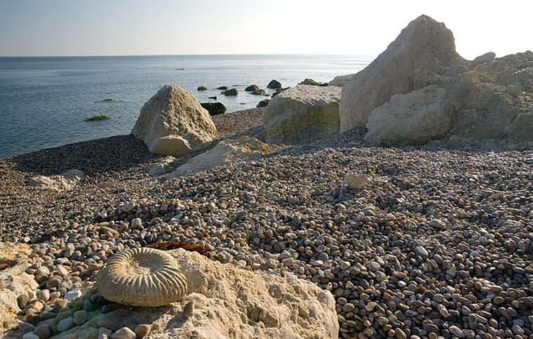Englisch Sprachschule Exeter, England