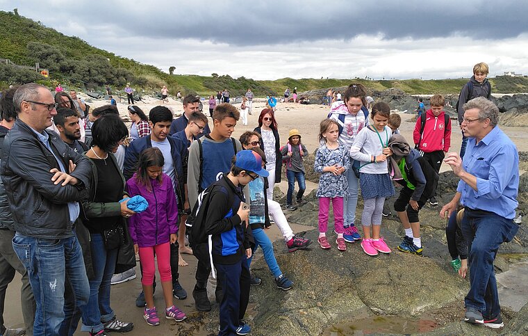 Englisch Sprachschule Wexford, Irland