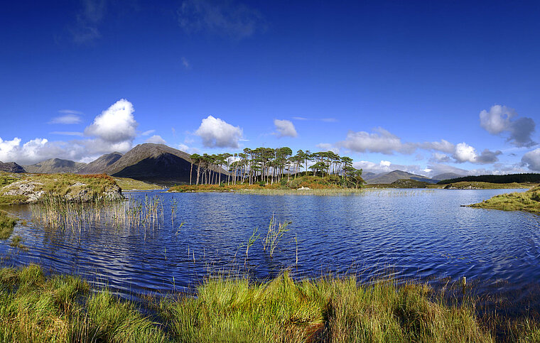 Englisch Sprachschule Galway, Irland