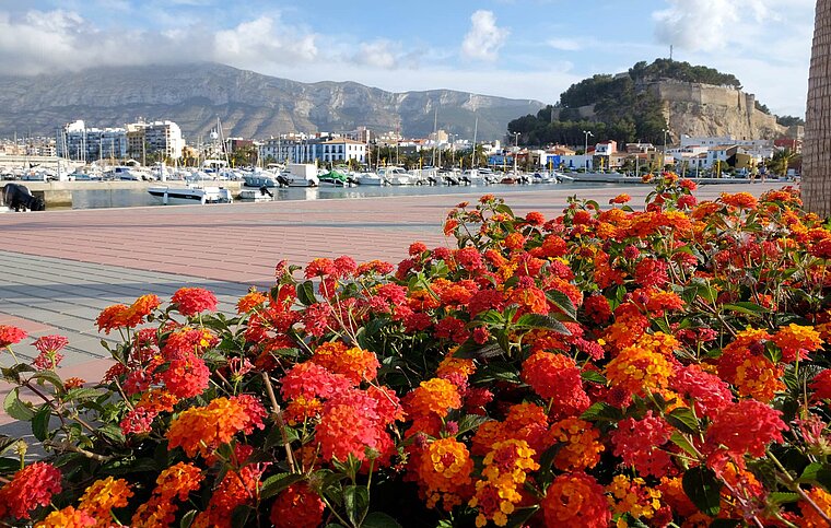 Spanisch Sprachschule Denia, Spanien