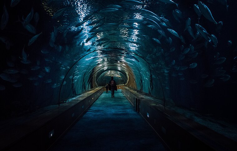 Ihre Spanisch Sprachschule in Valencia, Spanien