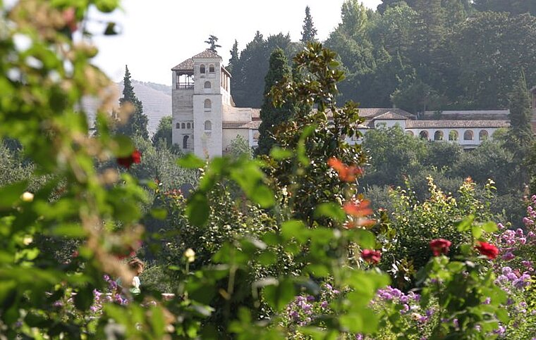 Spanisch Sprachschule Alicante, Spanien