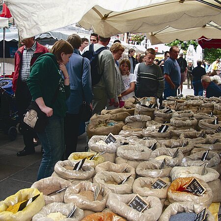 Freizeitaktivitäten