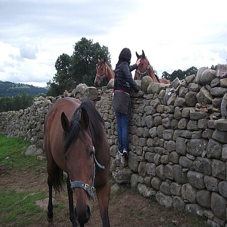 activités de loisirs