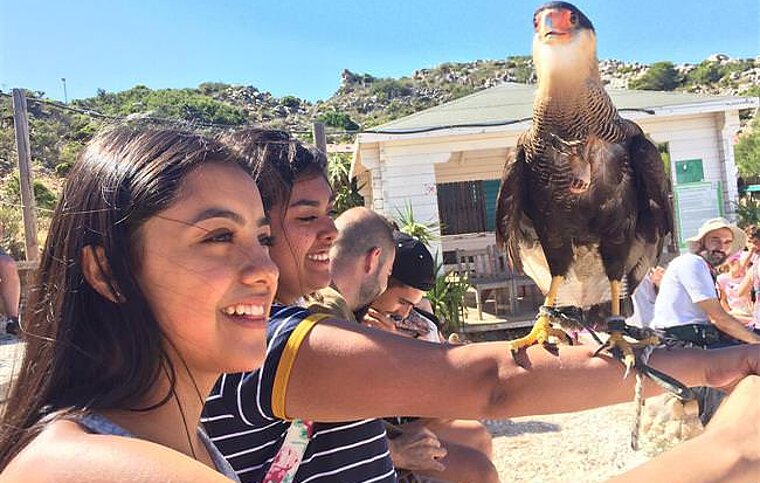Spanisch Sprachschule Benalmádena, Spanien