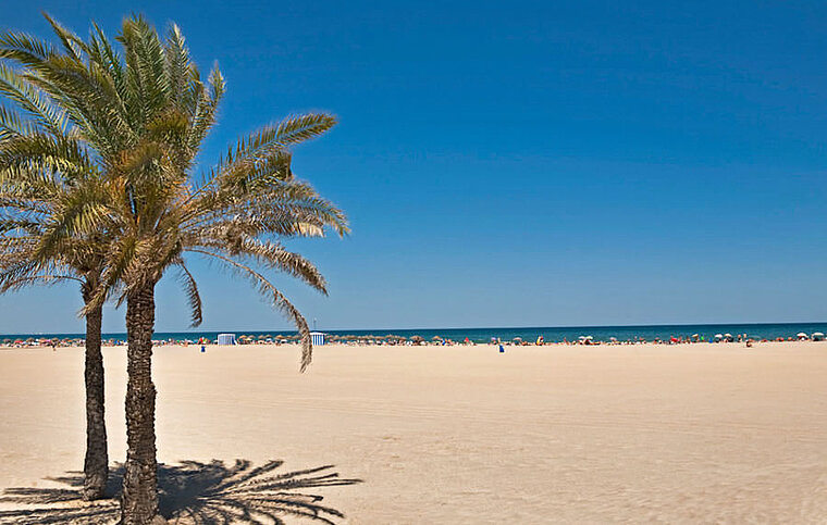 Ihre Spanisch Sprachschule in Valencia, Spanien