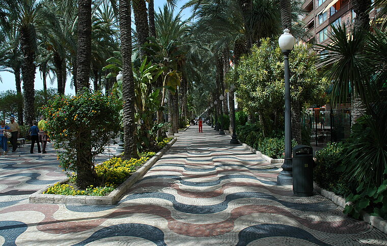 Spanisch Sprachschule Alicante, Spanien