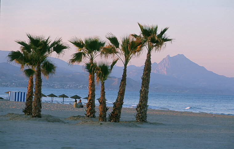 Spanisch Sprachschule Alicante, Spanien