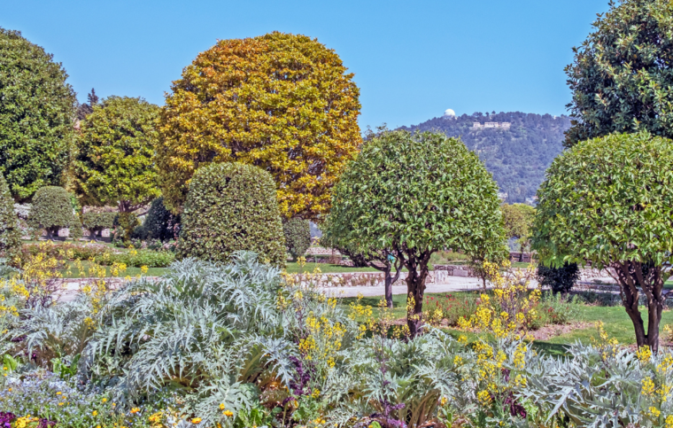 Französisch Sprachschule Côte d´Azur, Frankreich