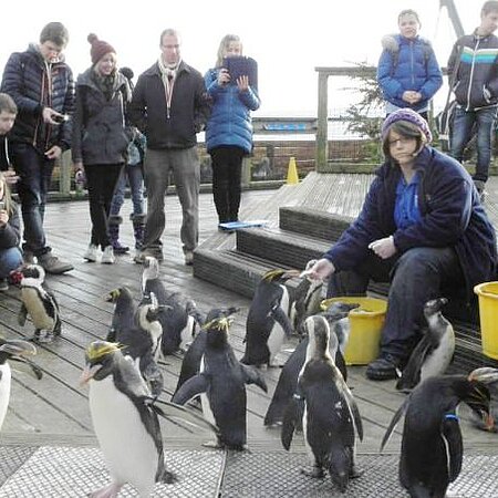 activités de loisirs