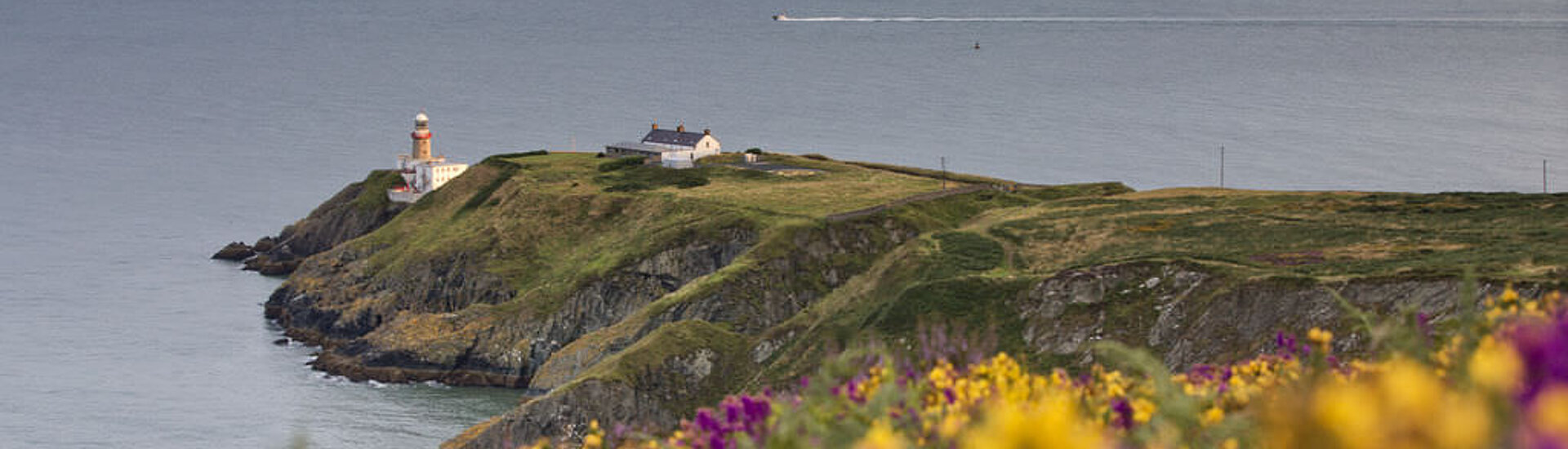 Englisch Familiensprachreise Dublin, Irland