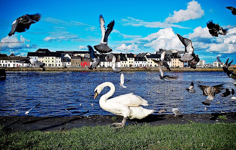 Englisch Sprachschule Galway, Irland