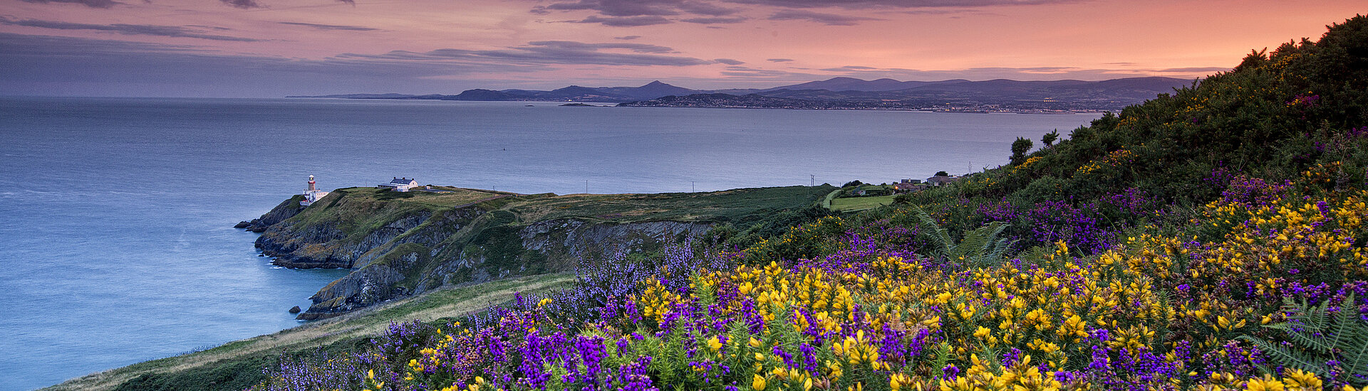 Vacanza-studio per studenti Dublino, Irlanda