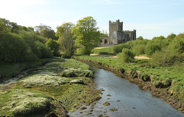 Englisch Sprachschule Wexford, Irland