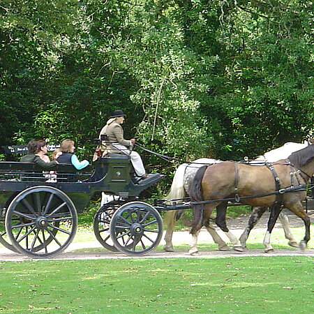 activités de loisirs