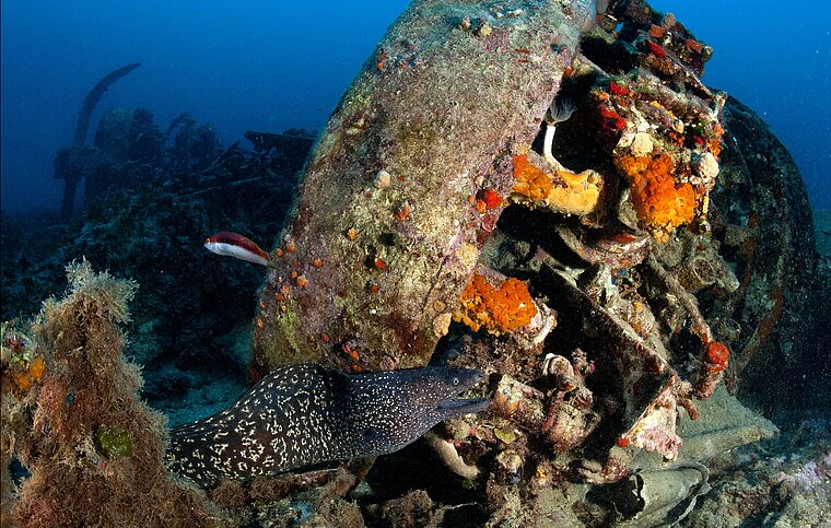 Englisch Sprachschule St. Julians, Malta