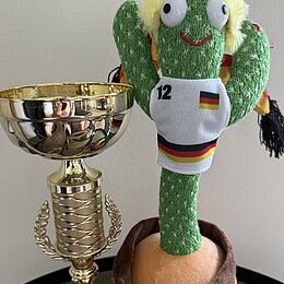 WM Gewinnspiel 2026