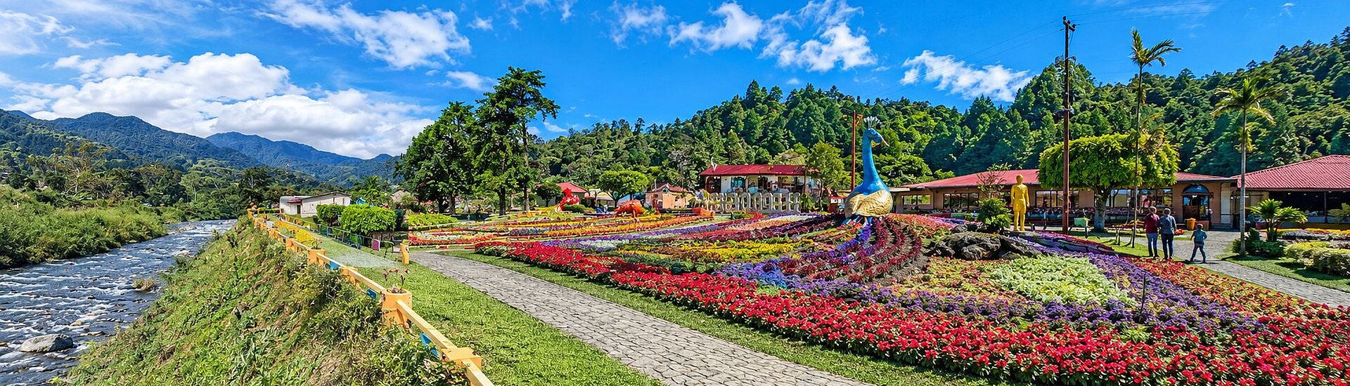 Spanish language holiday for families in Boquete, Panama Spanish language holiday for families in Boquete, Panama