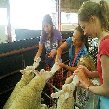 activités de loisirs