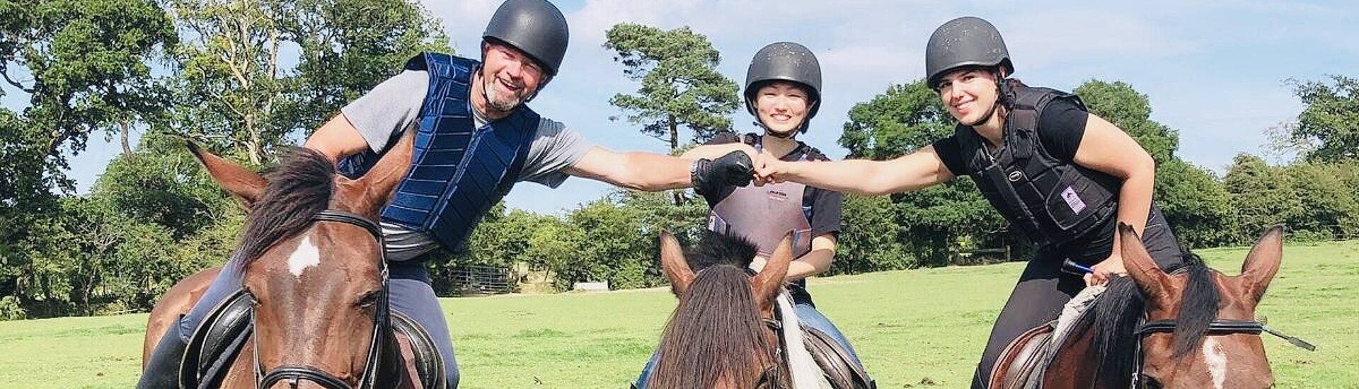 Anglais et équitation, Irlande