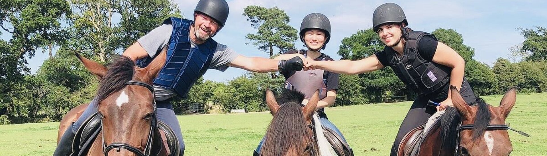 English & Horse Riding, Ireland English & Horse Riding, Ireland