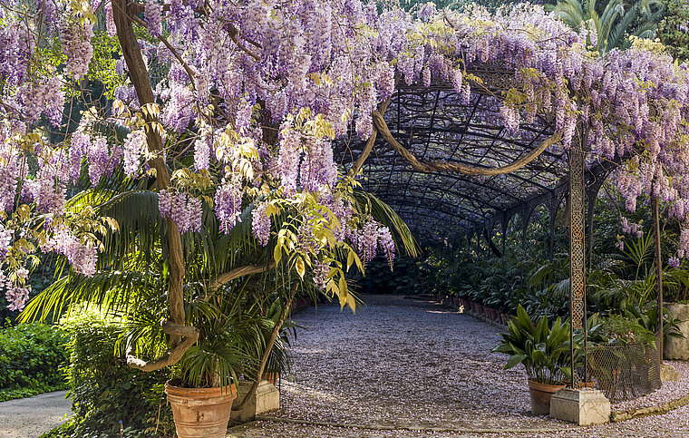 Spanisch Sprachschule Málaga, Spanien