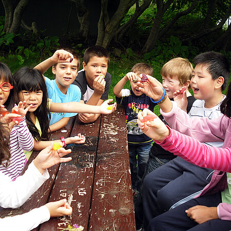activités de loisirs