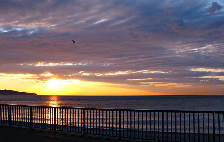 Französisch Sprachschule Nizza, Frankreich