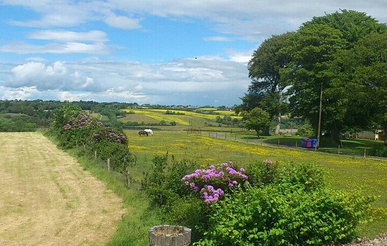 Englisch Sprachschule Wexford, Irland