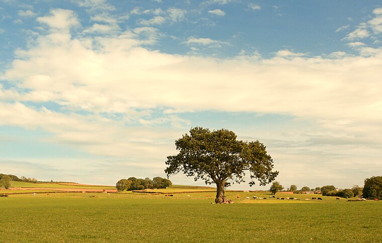 Englisch Sprachschule Exeter, England