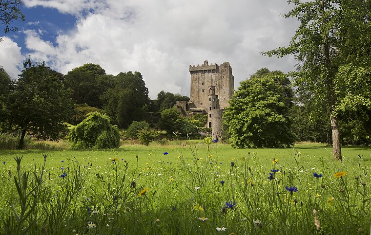 Englisch Sprachschule Cork, Irland